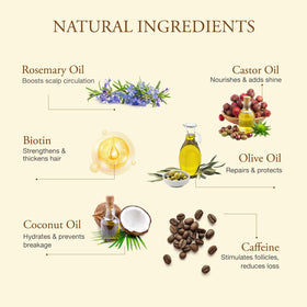 Venanoci Hair Growth Oil application on scalp