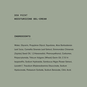 Versed Dew Point Gel Moisturizer with other skincare products