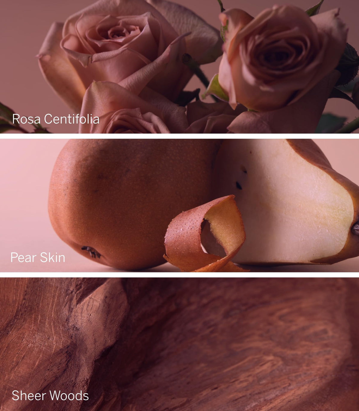 Victoria's Secret Bare Rose Lotion packaging