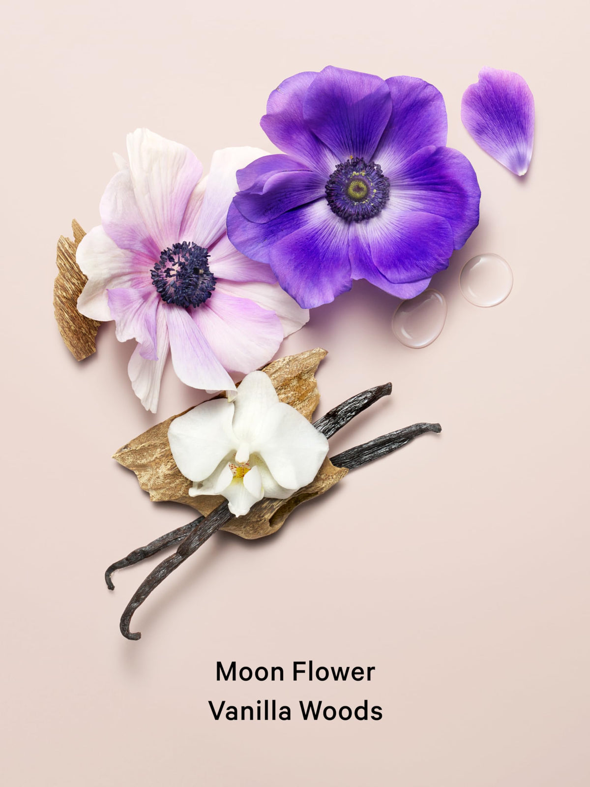 Victoria's Secret Midnight Bloom Body Lotion with floral background