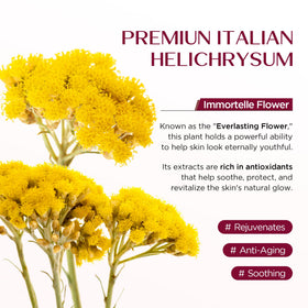 Vigority Helichrysum Balm 3.4oz lifestyle scene