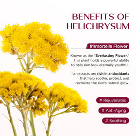 Vigority Helichrysum Balm 6.8 oz jar side view