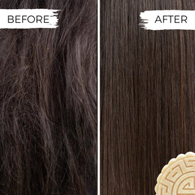 Viori shampoo and conditioner bars side by side