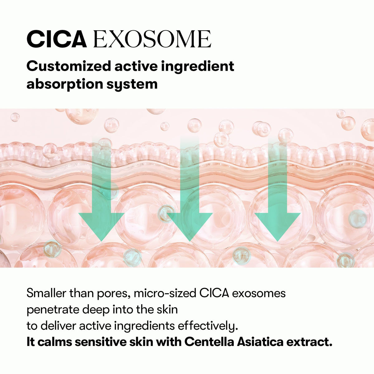 VT COSMETICS PDRN Cica Exosome Ampoule application on hand