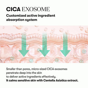 VT COSMETICS PDRN Cica Exosome Ampoule application on hand