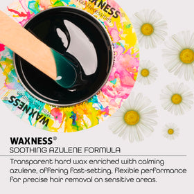 Waxness Film Hard Wax Beads Azulene with spatula