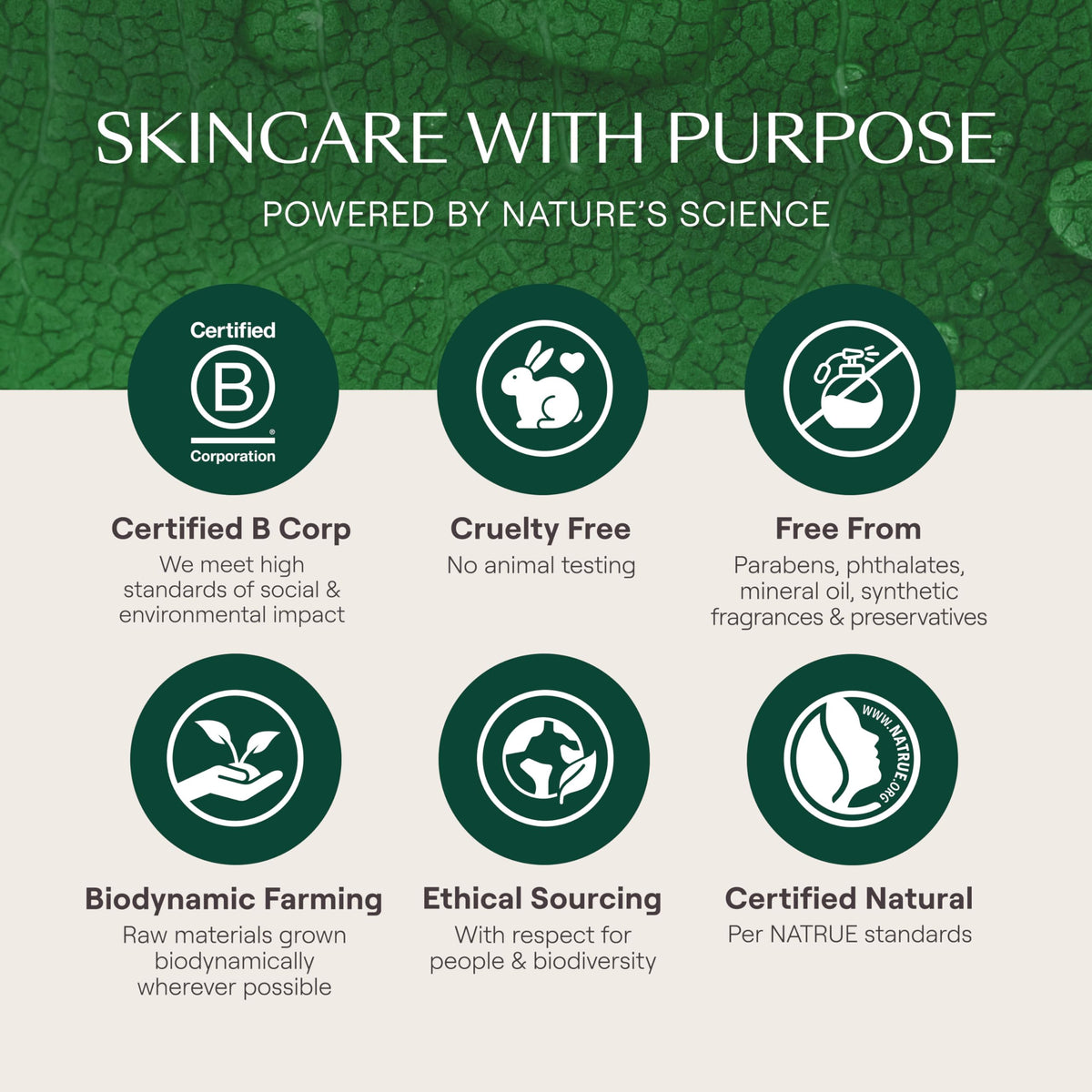 Weleda Skin Food Cream product details with chamomile and rosemary