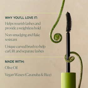 Well People Curling Mascara Black packaging
