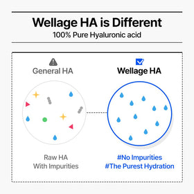 WELLAGE Real Hyaluronic Blue Ampoule 100 with skincare products