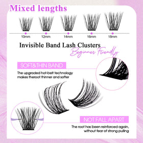 WENDY LASHES Lash Clusters C3 packaging showing 448PCS