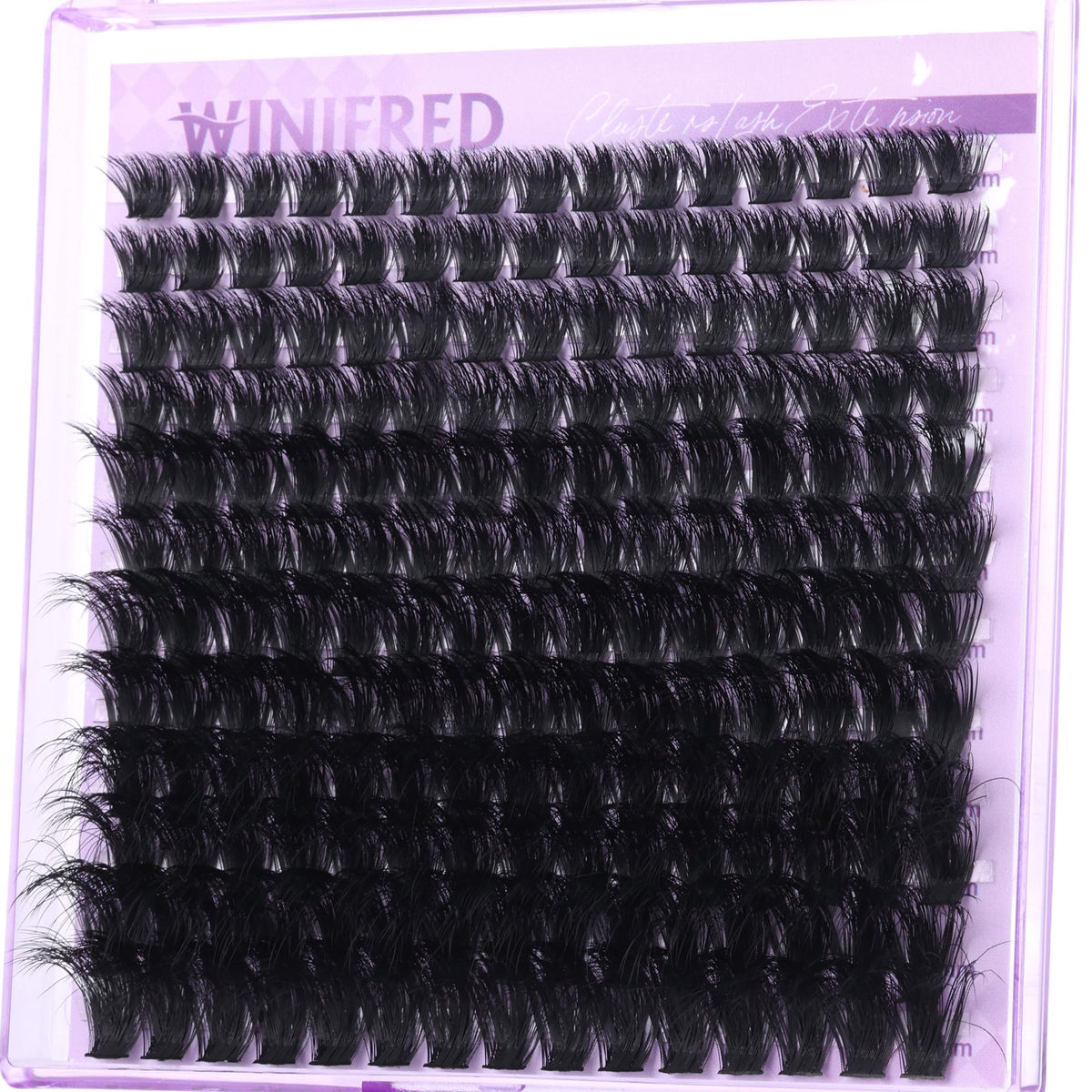 Winifred Lash Clusters 14mm length close-up
