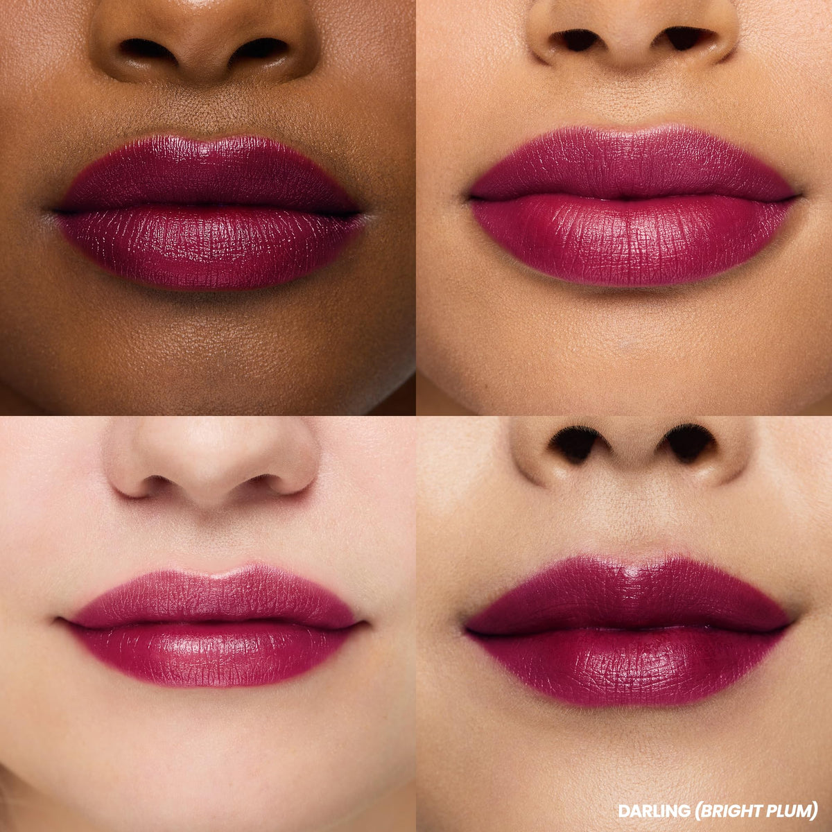 Wonderskin Lip Stain Kit applicator close-up